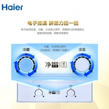 海尔（Haier）BCD-170WDPT 风冷无霜冰箱 （自动除霜） 金色两门