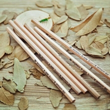 广博  QB9562D  简·木铅笔2B(30只装）