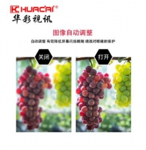 HUACAI 华彩 55英寸液晶监视器工业级高清大屏 安防专用显示器监控显示器